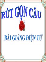 Bài giảng ngữ văn 7 bài 19 rút gọn câu 12 