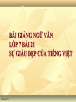 Bài giảng ngữ văn 7 bài 21 sự giàu đẹp của tiếng việt 4 