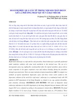 SO SÁNH HIỆU QUẢ GÂY TÊ TRONG NỘI SOI CHẨN ĐOÁN GIỮA 2 PHƯƠNG PHÁP XỊT TÊ VÀ ĐẶT MÈCHE