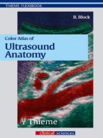 Color Atlas Of Ultrasound Anatomy