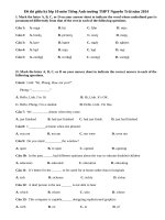 Đề thi giữa kỳ lớp 10 môn Tiếng Anh trường THPT Nguyễn Trãi năm 2014