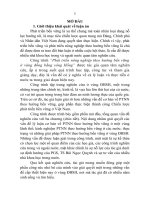 Phát triển nông nghiệp theo hướng bền vững ở vùng đồng bằng sông hồng (TT)