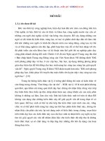 Thiết kế phương án dạy học một số kiến thức thuộc chương cân bằng của vật rắn   SGK vật lí 10 hiện hành nhằm phát huy tính tích cực, tự chủ của học sinh trong học tập 