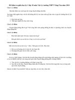 Đề kiểm tra giữa học kỳ 1 lớp 10 môn Vật Lý THPT Vũng Tàu năm 2014