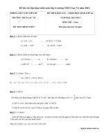 Đề thi vào lớp chọn môn toán lớp 6 trường THCS Lạc Vệ năm 2014