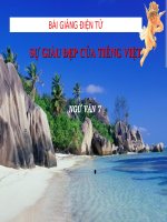 Bài giảng ngữ văn 7 bài 21 sự giàu đẹp của tiếng việt 11 