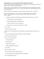 Đề thi giữa học kì 1 lớp 10 môn Văn 2014 - THPT Minh Khai