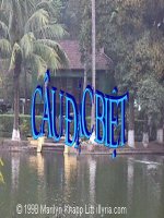 Bài giảng ngữ văn 7 bài 20 câu đặc biệt 