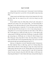 Đánh giá sự thay đổi BMD trên bệnh nhân LX thể can thận âm hư sau khi dùng bài thuốc “Lục vị quy thược