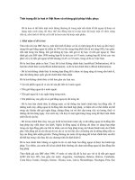 Tình trạng đô la hoá ở việt nam và những giải pháp khắc phục