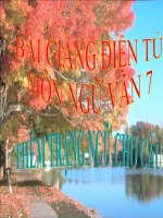 Bài giảng ngữ văn 7 bài 21 thêm trạng ngữ cho câu 3 