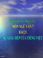 Bài giảng ngữ văn 7 bài 21 sự giàu đẹp của tiếng việt 8 