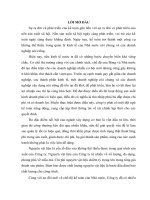 Hoàn thiện kế toán nguyên vật liệu tại công ty cổ phần bê tông xây dựng ap