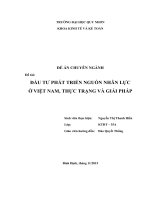 đầu tư phát triển nguồn nhân lực tại việt nam, thực trạng và giải pháp