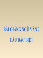 Bài giảng ngữ văn 7 bài 20 câu đặc biệt 9 