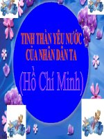 Bài giảng ngữ văn 7 bài 20 bài tinh thần yêu nước của nhân dân ta 12 