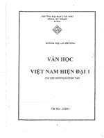 Văn học việt nam hiện đại 1