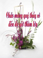 Bài giảng ngữ văn 7 bài 21 sự giàu đẹp của tiếng việt 3 