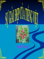 Bài giảng ngữ văn 7 bài 21 sự giàu đẹp của tiếng việt 9 