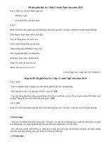 Đề thi giữa học kỳ 1 lớp 11 môn Ngữ văn năm 2014