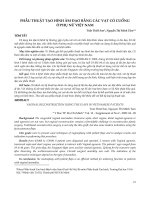 PHẪU THUẬT TẠO HÌNH ÂM ĐẠO BẰNG CÁC VẠT CÓ CUỐNG Ở PHỤ NỮ VIỆT NAM