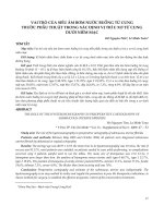 VAI TRÒ CỦA SIÊU ÂM BƠM NƯỚC BUỒNG TỬ CUNG TRƯỚC PHẪU THUẬT TRONG XÁC ĐỊNH VỊ TRÍ U XƠ TỬ CUNG DƯỚI NIÊM MẠC