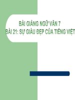 Bài giảng ngữ văn 7 bài 21 sự giàu đẹp của tiếng việt 6 