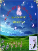 Bài giảng ngữ văn 7 bài 21 sự giàu đẹp của tiếng việt 10 