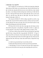 Đặc điểm tự nhiên, đất đai các vùng đất ngập nước khu vực cửa sông ở việt nam 