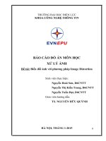 Đồ án Xử lý ảnh  Biến đổi ảnh với phương pháp Image Distortion