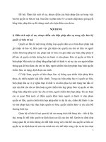 Phân tích một số ưu, nhược điểm của biện pháp dân sự trong việcbảo hộ quyền sở hữu trí tuệ