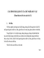 Các hình thái của chủ nghĩa duy vật