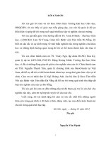 Luận văn thạc sĩ tác động của hỗ trợ xã hội và bạo lực đối với phụ nữ đối với mối liên hệ giữa SKTT của người mẹ và SKTT của trẻ 