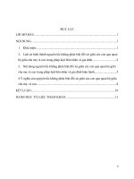 Nguyên tắc không phân biệt đối xử giữa các con qua quan hệ giữa cha mẹ và con