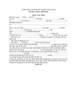 Mẫu giấy cho vay tiền.