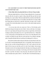 CÁC GIẢI PHÁP CẢI CÁCH TƯ PHÁP NHẰM ĐẢM BẢO QUYỀN CON NGƯỜI Ở VIỆT NAM