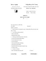 Giải pháp thi công vỏ bêtông hầm điều áp nhà máy thuỷ điện a vương 