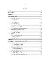 Nghiên cứu mối liên quan giữa khối u với mức độ xâm lấn