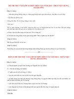 Đề thi thử vào lớp 10 môn Văn năm 2014 THCS Việt Hưng, Hải Dương