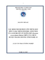 Xác định thành phần côn trùng bắt mồi và đặc điểm sinh học, sinh thái của loài bọ xít cổ ngỗng đen (sycanus croceovittatus dohrn) trên cây chè ở huyện thanh chương tỉnh nghệ an 