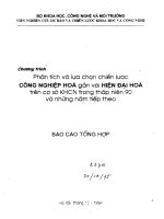Phân tích và lựa chọn chiến lược công nghiệp hóa gắn liền với hiện đại hóa trên cơ sở KHCN trong thập niên 90 và những năm tiếp theo