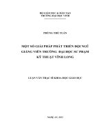 Một số giải pháp phát triển đội ngũ giảng viên trường đại học sư phạm kỹ thuật vinh long 