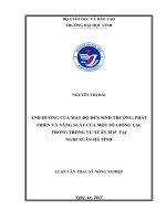 Ảnh hưởng của mật độ đến sinh trưởng, phát triển và năng suất của một số giống lạc trồng trong vụ xuân 2015 tại nghi xuân   hà tĩnh 