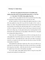 công nghiệp hóa hiện đại hóa (CNH hđh) nông nghiệp, nông thôn, kinh tế thị trường định hướng XHCN ở việt nam 
