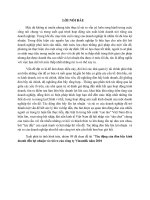 Tác động của đòn bẩy kinh doanh đến lợi nhuận và rủi ro của công ty Vinamilk năm 2010