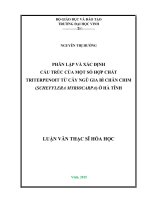 Phân lập và xác định cấu trúc của một số hợp chất triterpenoit từ cây ngũ gia bì chân chim (schefflera myriocarpa) ở hà tĩnh 
