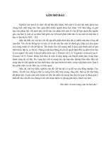 Tiểu luận tâm lí học phát triển 