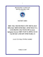 Điều tra thành phần côn trùng bắt mồi, đặc điểm sinh học, sinh thái của loài bọ rùa hai mảng đỏ (lemnia biplagiata swartz) trên ngô vụ đông xuân tại huyện anh sơn tỉnh nghệ an 