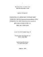 Ảnh hưởng của hình thức nuôi kết hợp tôm chân trắng (litopenaeus vannamei boone, 1931) với rong câu chỉ vàng (gracilaria asiatica) đến chất lượng nước và hiệu quả tôm nuôi 