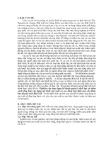 Nghiên cứu ứng dụng kỹ thuật quản lý dịch hại và thâm canh tổng hợp xây dựng mô hình sản xuất ca cao hàng hóa hiệu quả cho đồng bào dân tộc tỉnh đăk lăk 